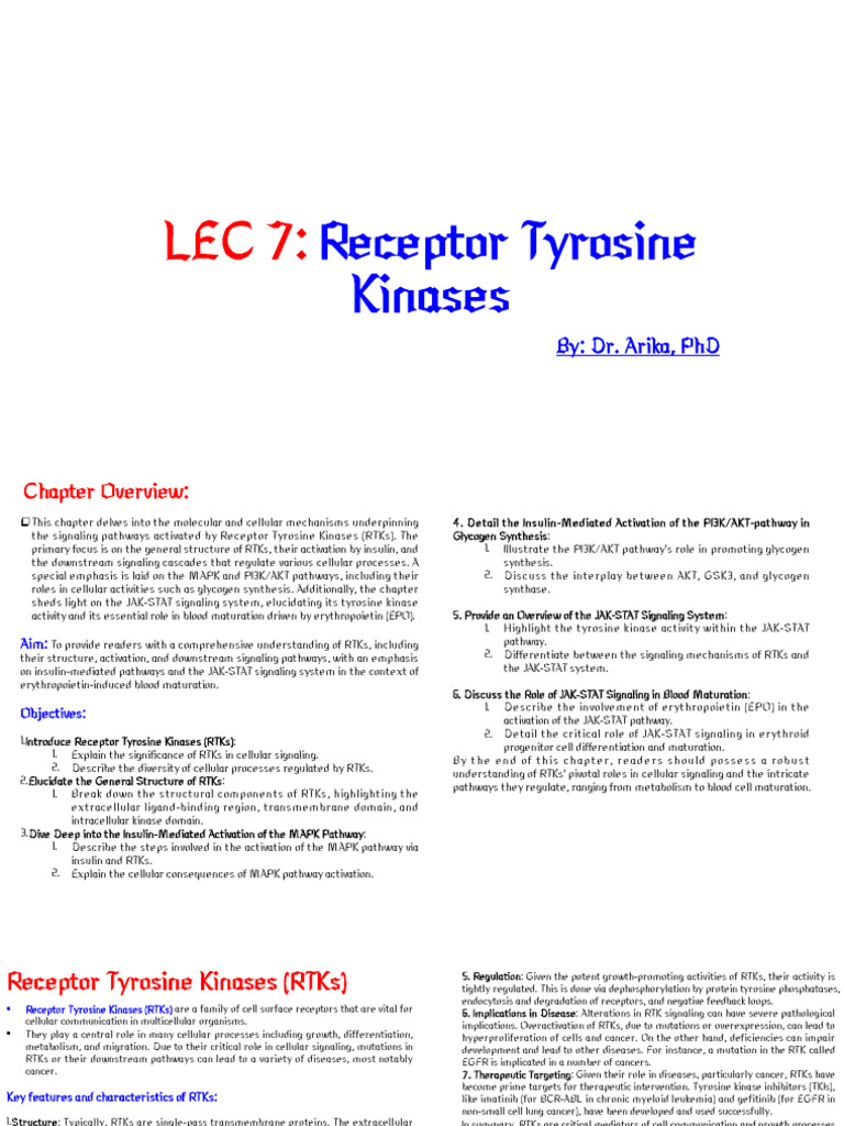 Receptor Tyrosine Kinases Overview | PDF | Protein Kinase B | Cell ...