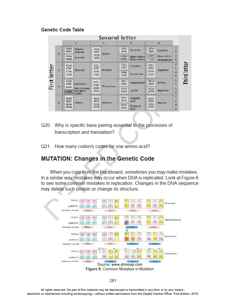 Understanding Genetic Mutations | PDF | Dna | Translation (Biology)