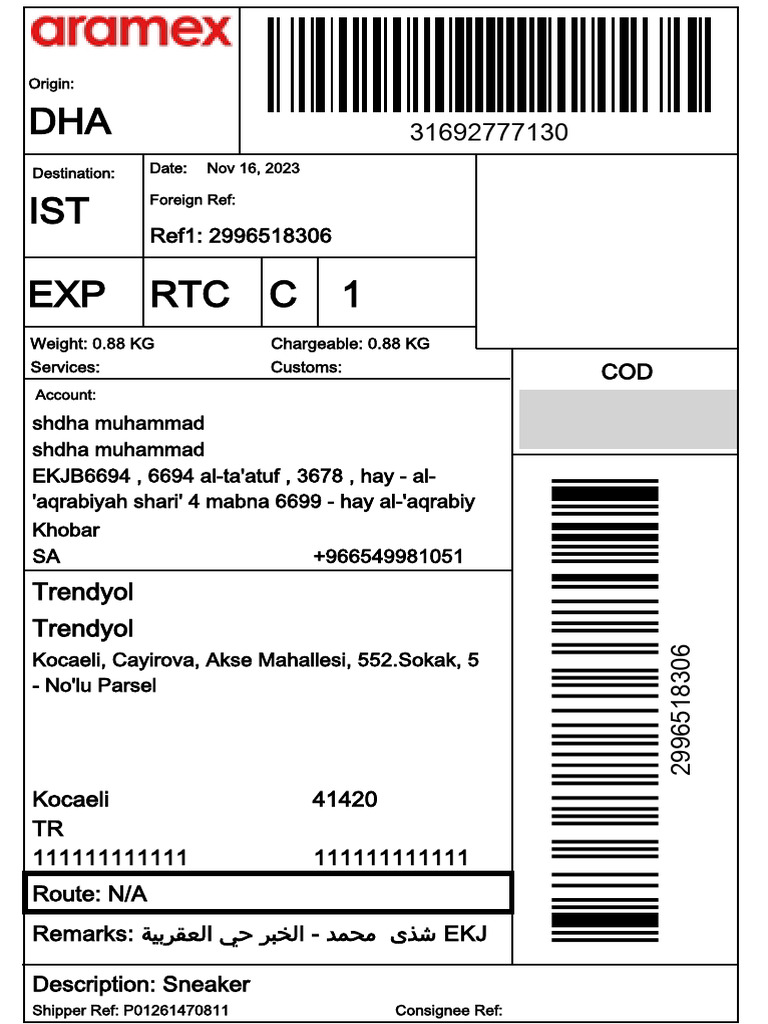 aramex-return-31692777130-label-data-pdf
