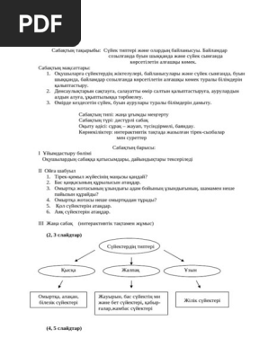 Салауатты киска суреттері