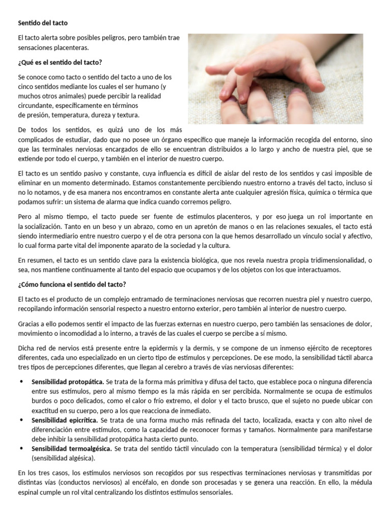 Función y partes del sentido del tacto | PDF | Piel | Sentidos