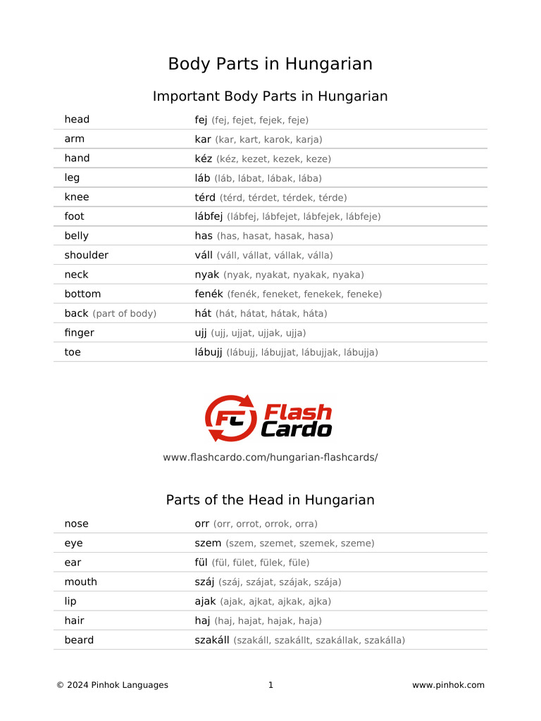 Body Parts in Hungarian | PDF