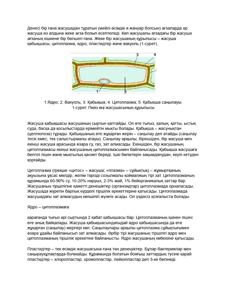 Скорпион зодиак белгісінің эротикалық сипаттамалары