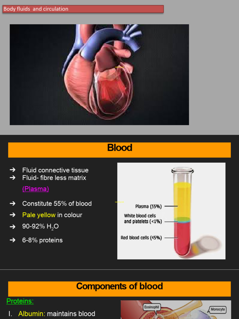 Body Fluids and Circulation Full Notes Watermark 1638429904805 | PDF ...