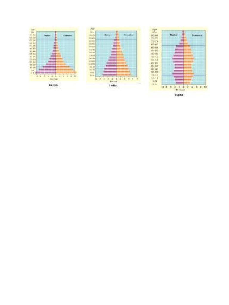 Population Pyramid | PDF