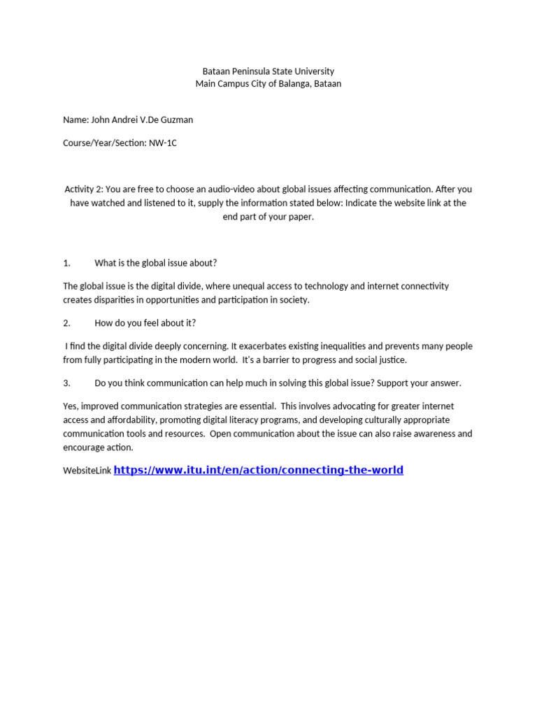 Addressing the Digital Divide Issue | PDF