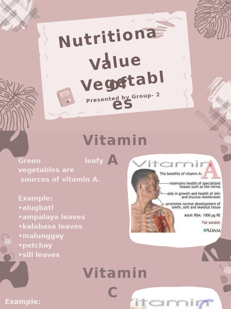 WHAT NUTRITIONAL VALUE DOES VEGETABLES HAVE visual data 3