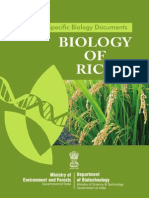 Download Rice by Ganesh Kumar SN83451103 doc pdf