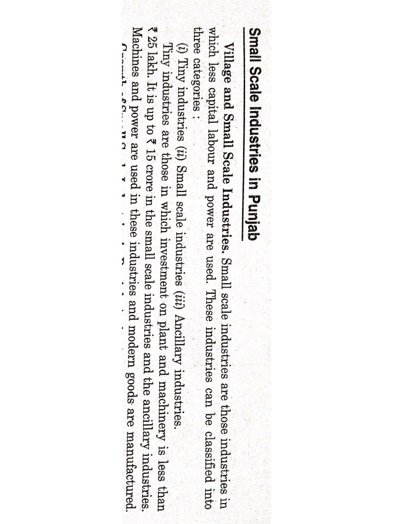 Small Scale and Medium - Large Scale Industries | PDF