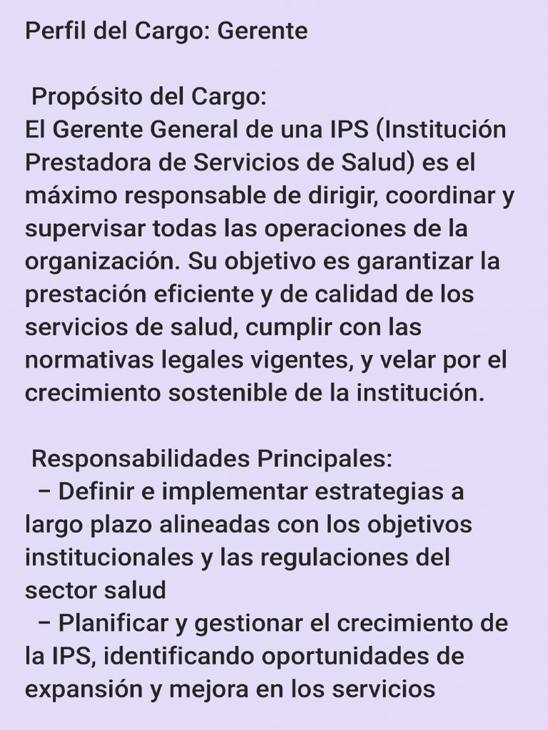 Perfiles de Cargo - 240923 - 222419 | PDF