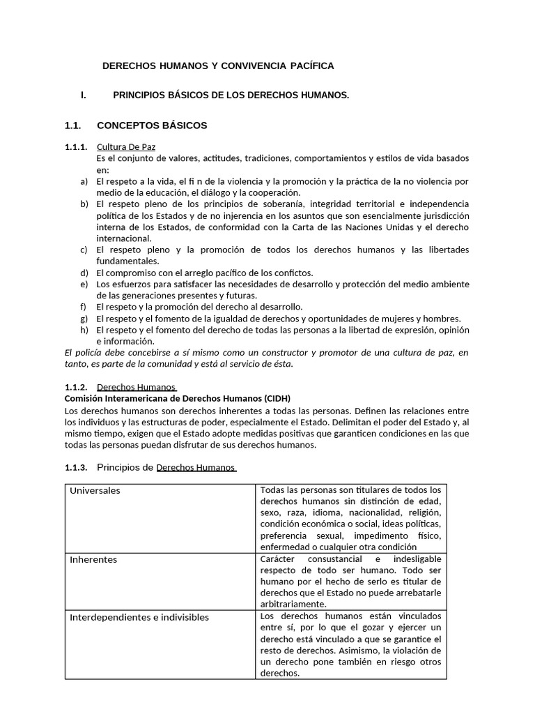 Derechos Humanos y Cultura de Paz | PDF | Violación | Derechos humanos