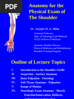 Anatomy of the Triangular Interval | PDF | Limbs (Anatomy) | Human Anatomy