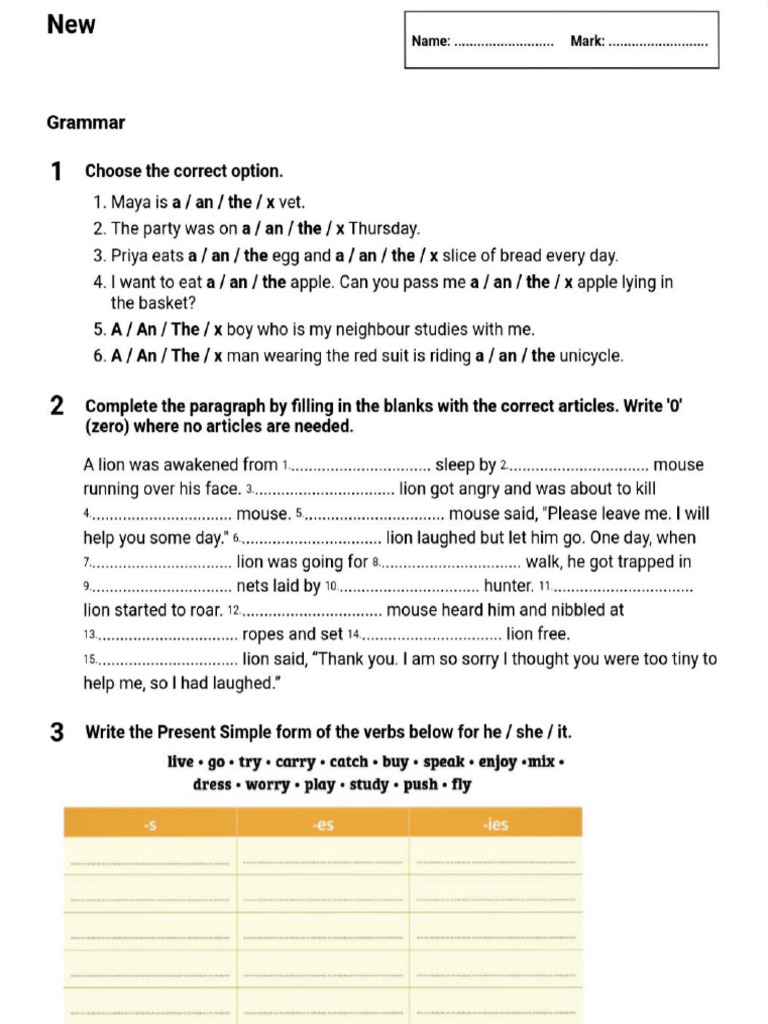 Basic English Grammar Practice Worksheets | PDF | Grammar | Linguistics