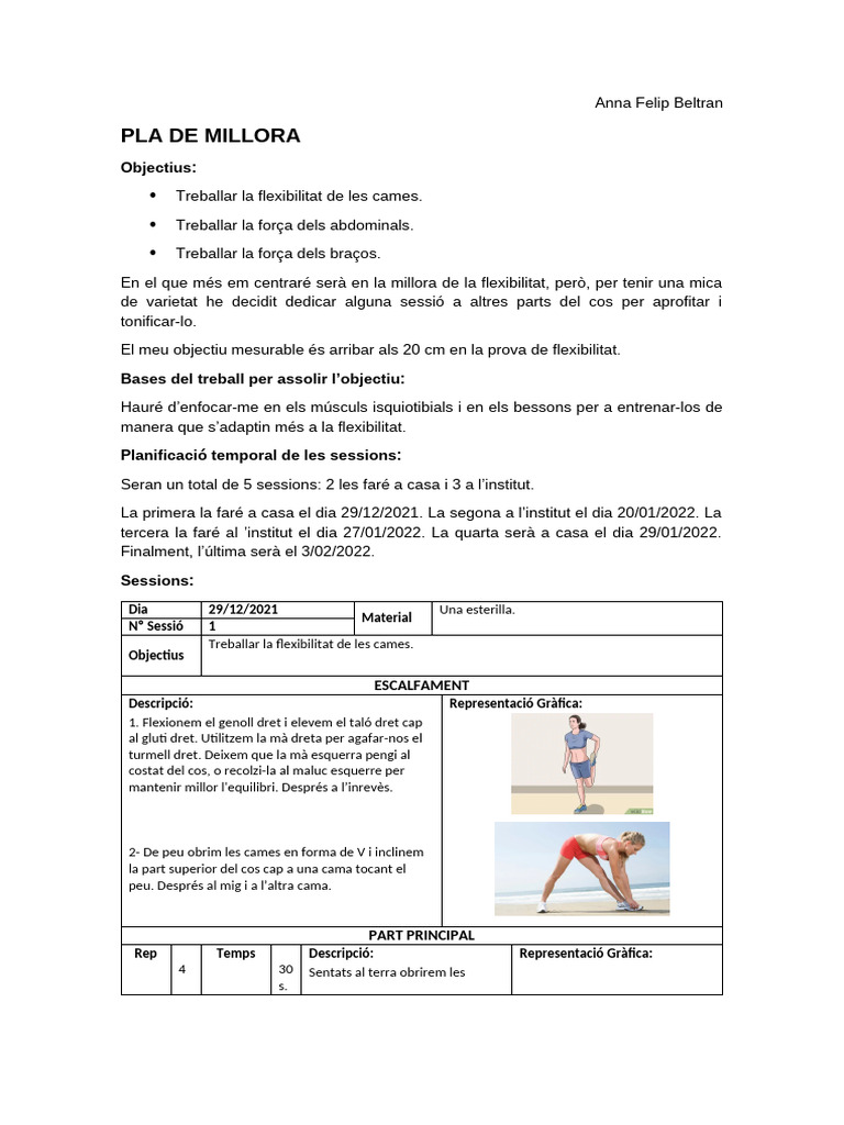 Pla de Millora - Anna Felip | PDF