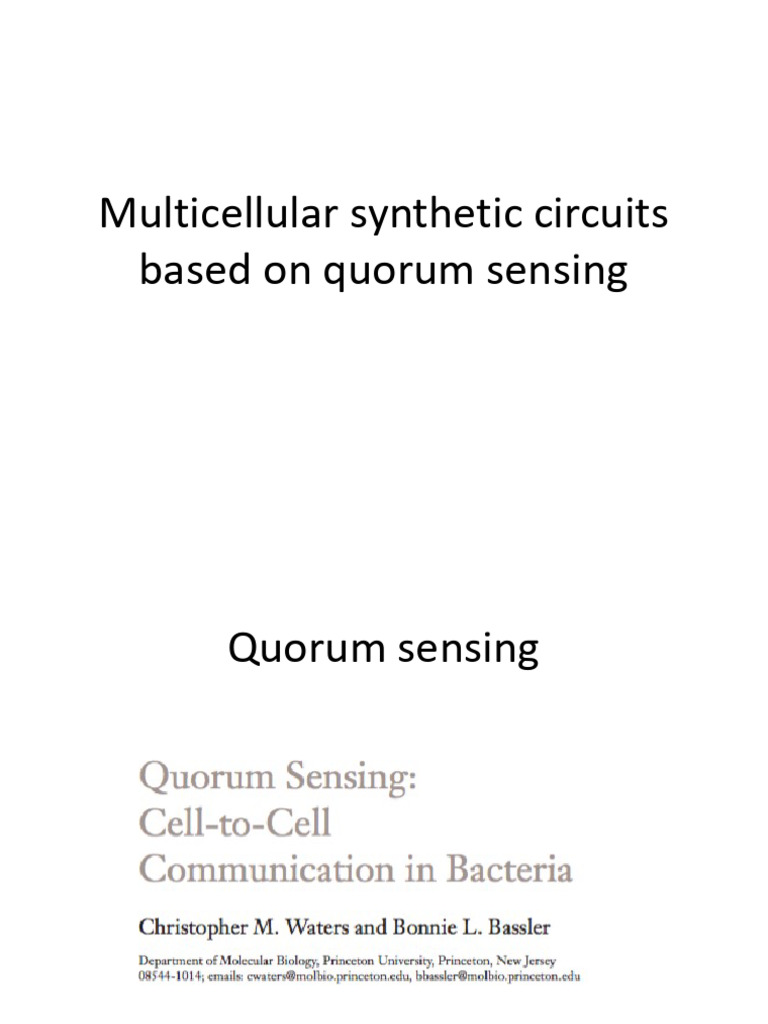 Multicell Circuits Using Quorum Sensing Biocomp 2022 Grado | PDF ...
