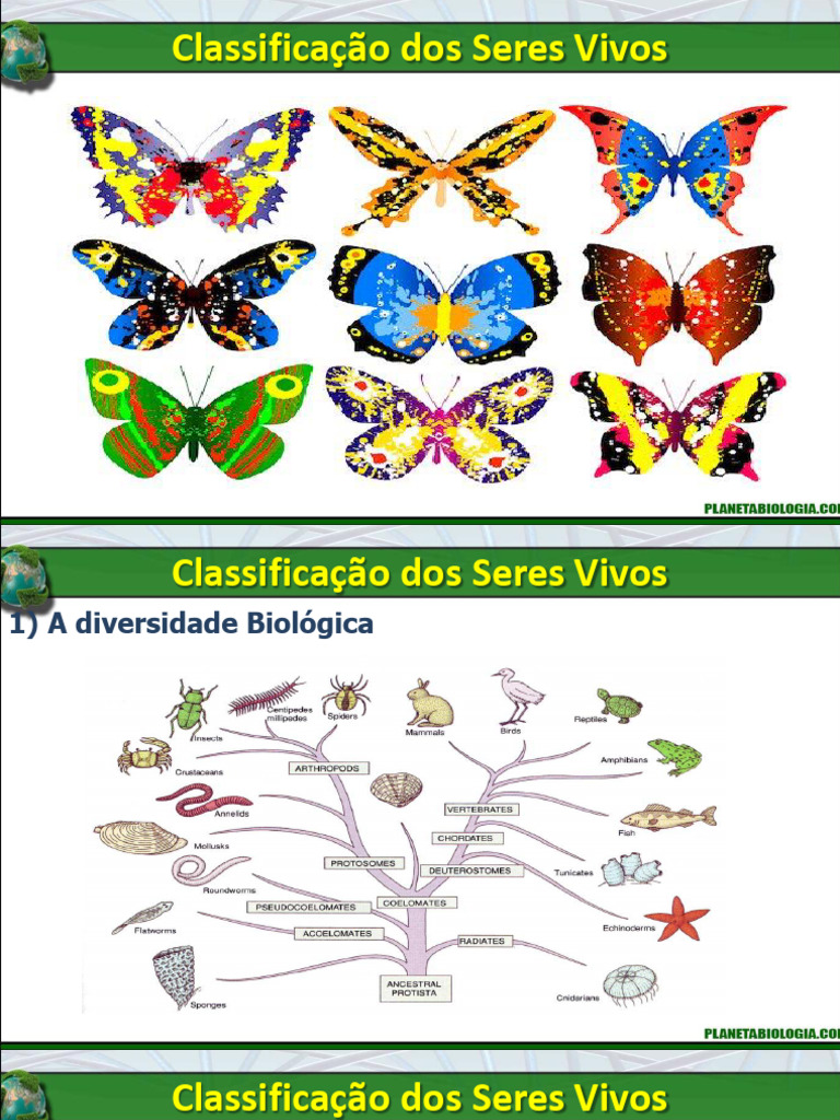 Classificação e Sistemática dos Seres Vivos | PDF | Taxonomia (Biologia ...