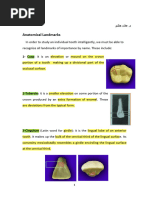 Anatomical Landmarks of Teeth | PDF | Dental Anatomy | Animal Anatomy