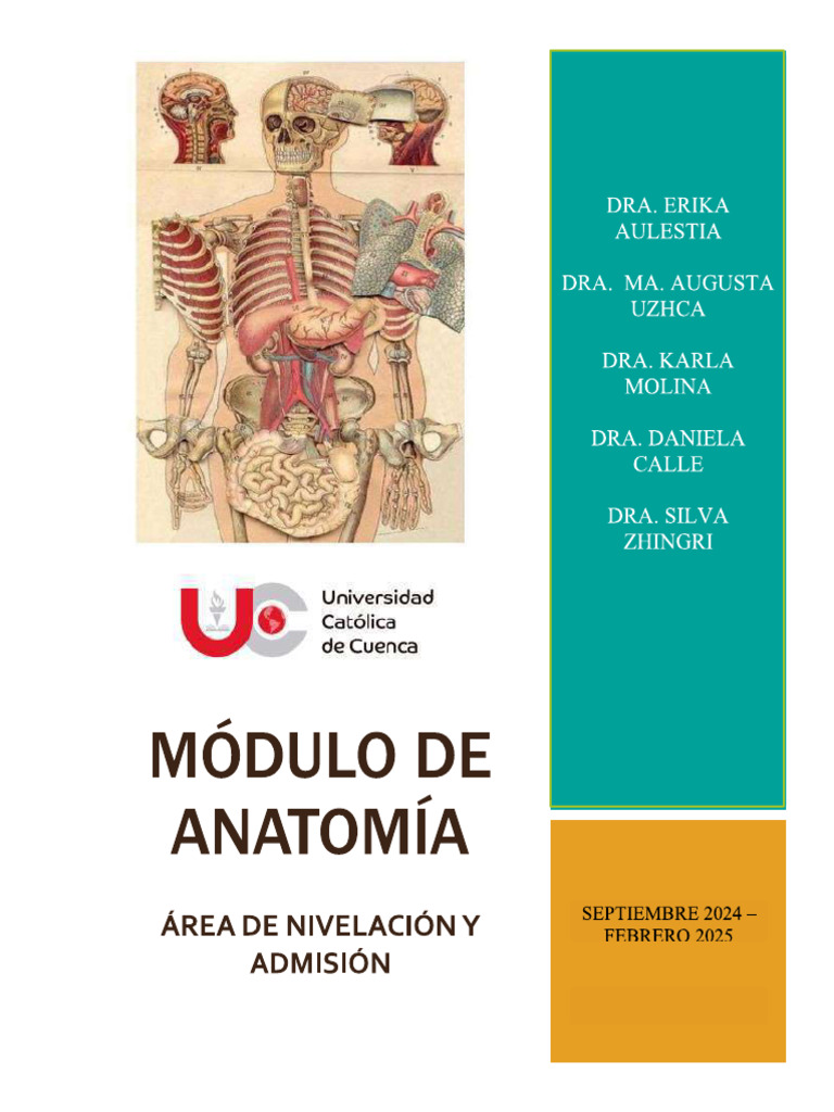Anatomia Imp | PDF