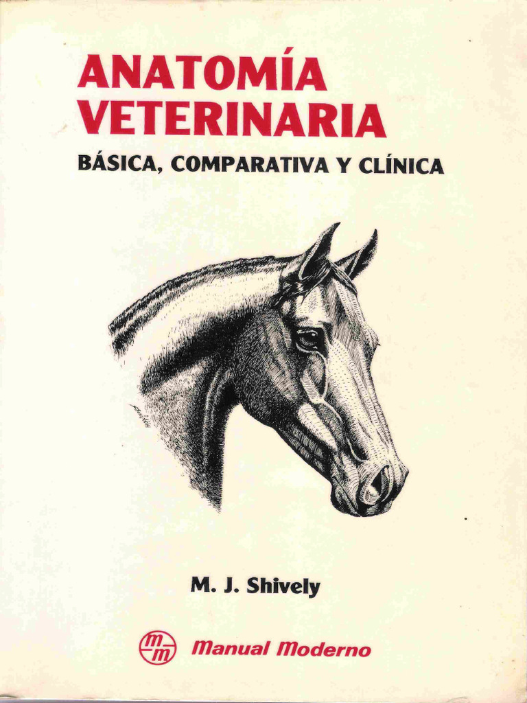 Anatomía Veterinaria Básica Comparativa Y Clínica Pdfdrive