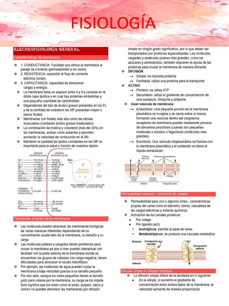 Electrofisiología y Transporte de Iones | PDF | Sinapsis | Potencial de ...