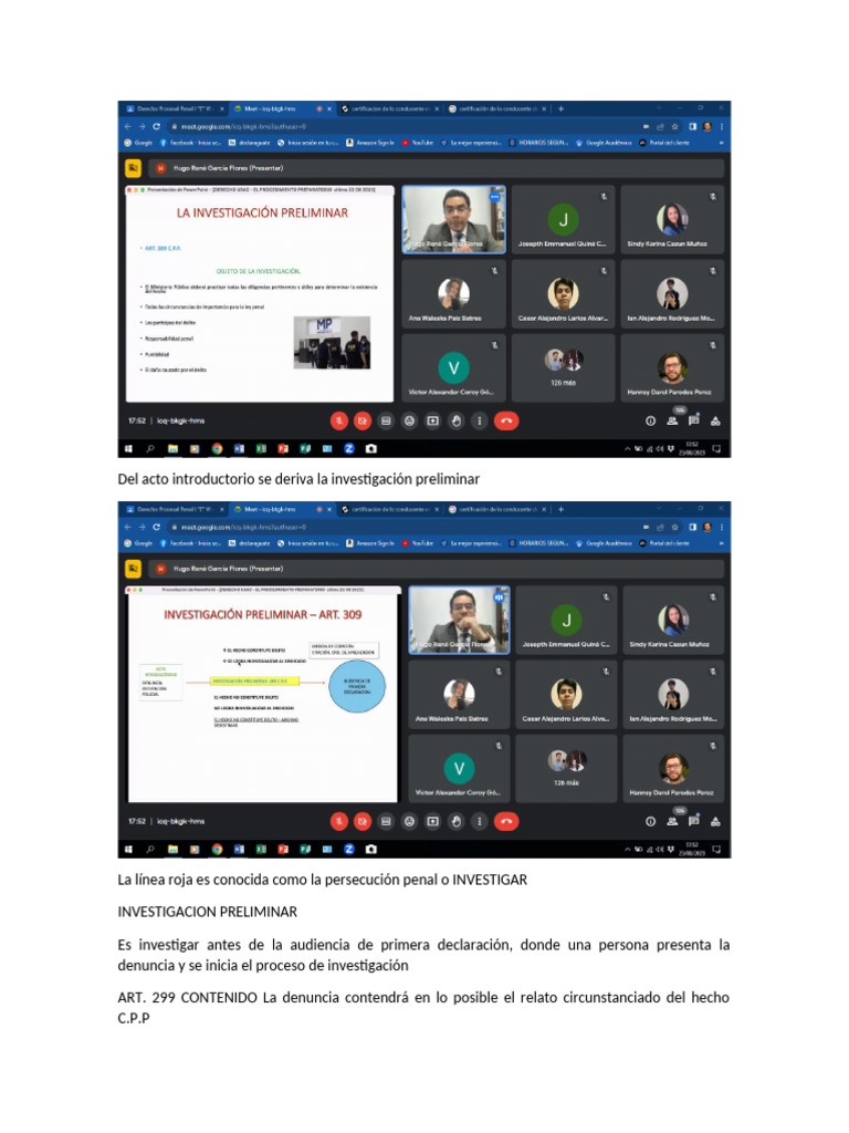 Investigacion Preliminar | PDF