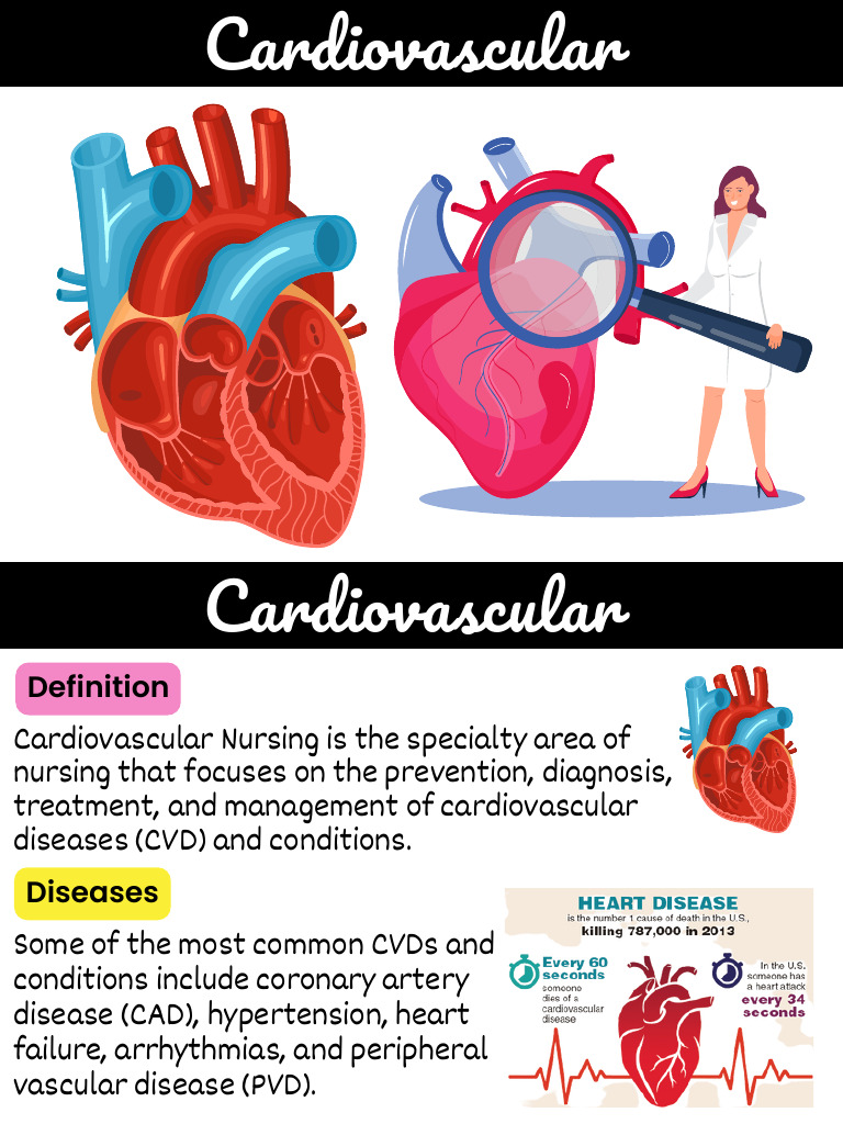 Cardiovascular Nursing Overview and Care | PDF | Myocardial Infarction ...
