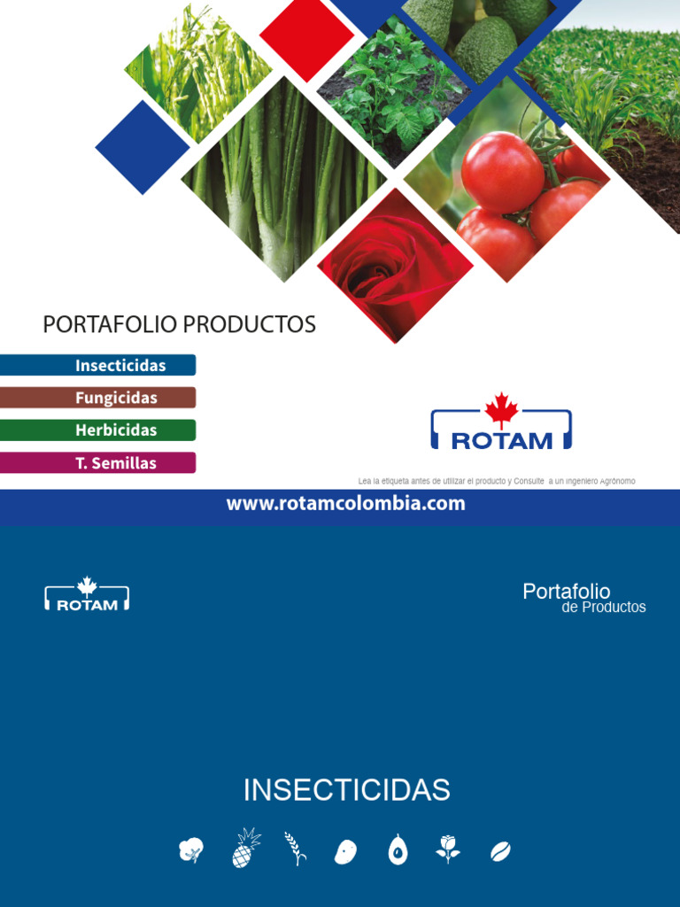 Portafolio Productos ROTAM | PDF