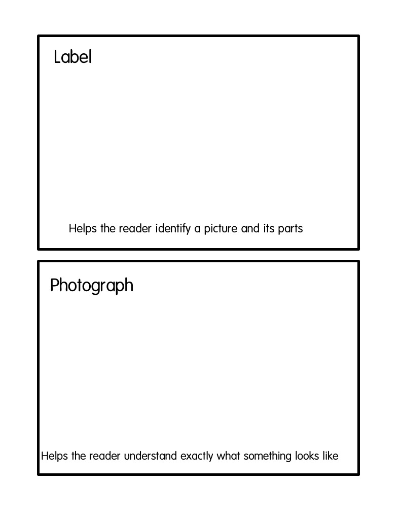 Understanding Photo Labels and Parts | PDF