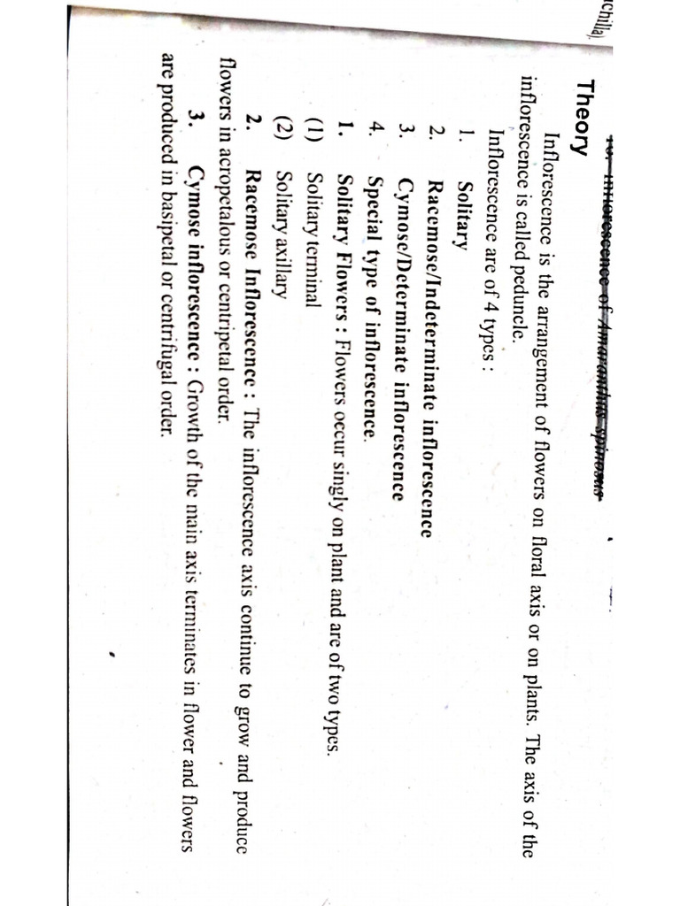 Document 12 | PDF