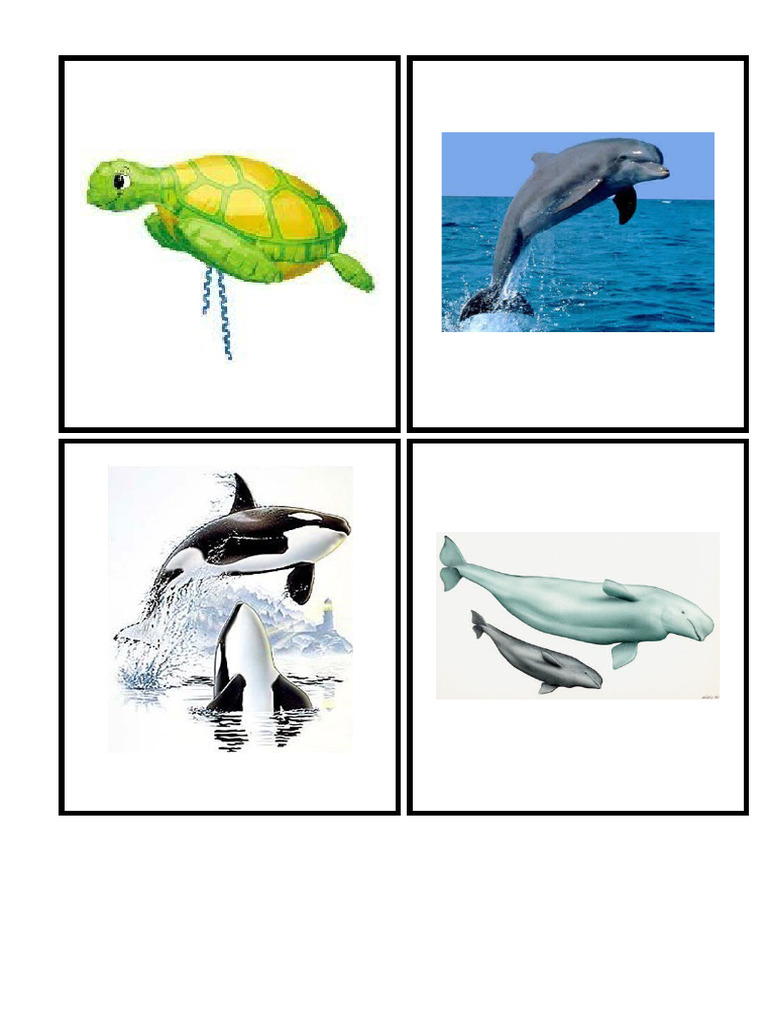 CS Animales de Mar | PDF