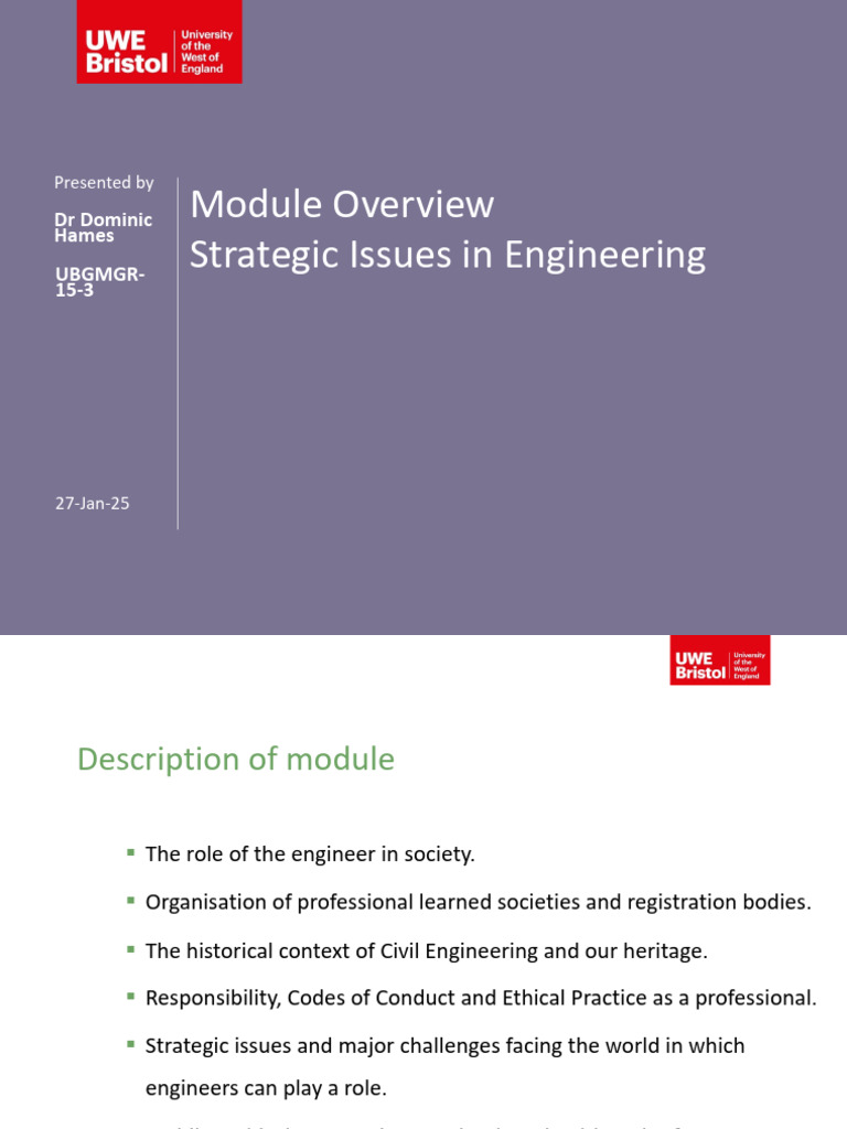 Strategic Issues in Engineering Module | PDF