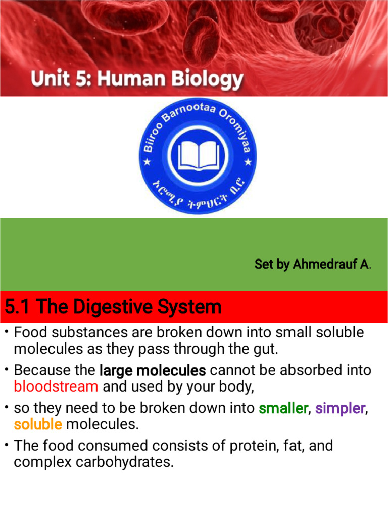 Bio G10 unit 5 | PDF | Human Tooth | Stomach