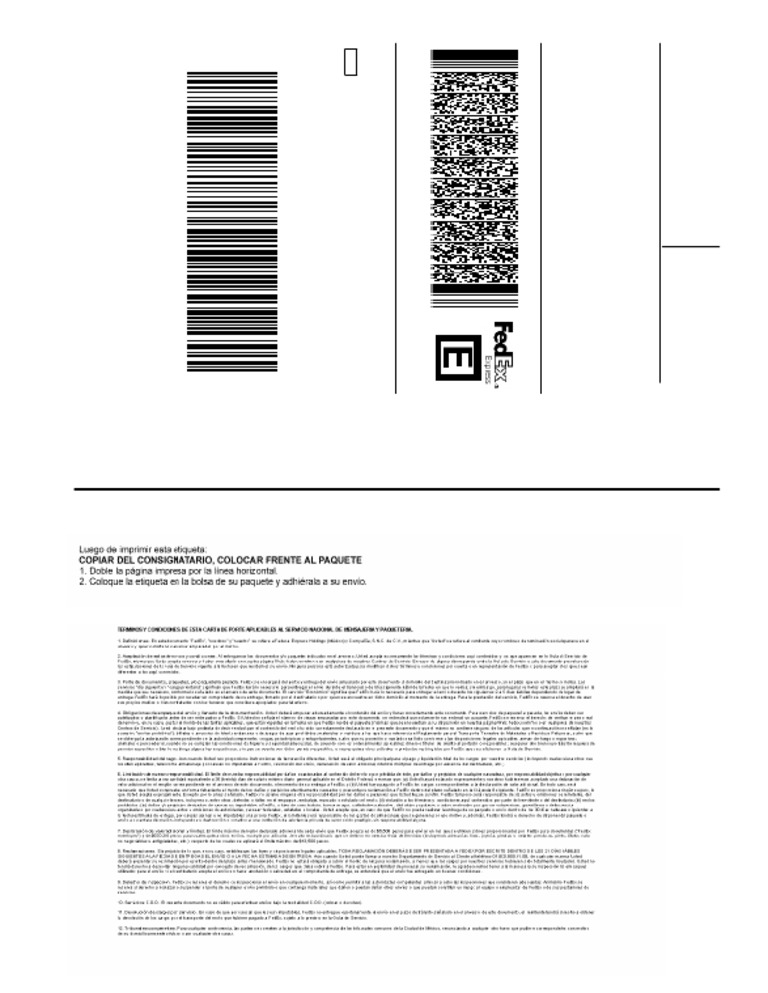 Package Shipment Details: Juarez to Carmen | PDF