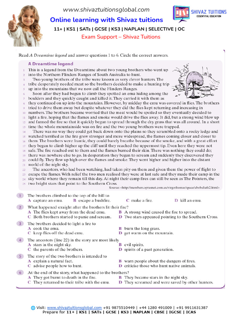 Grade 5 Reading Comprehension Resources | PDF