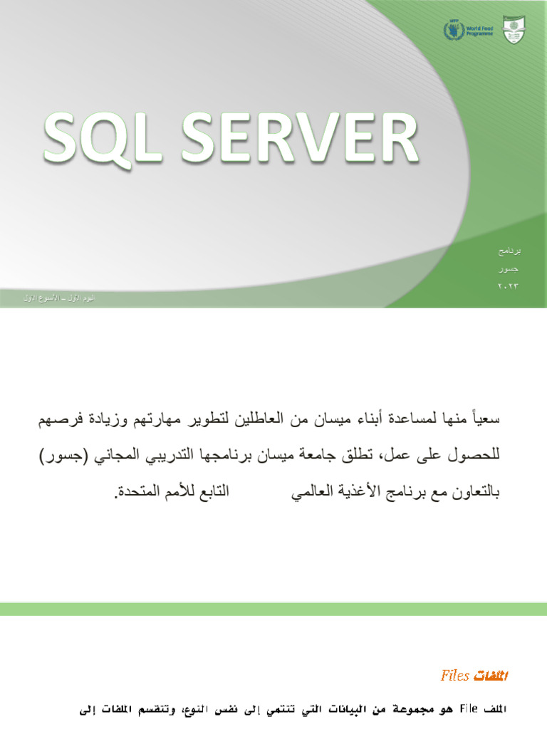 SQL Server | PDF