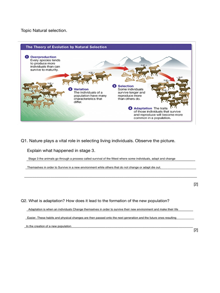 Natural selection | PDF | Zoology | Biology