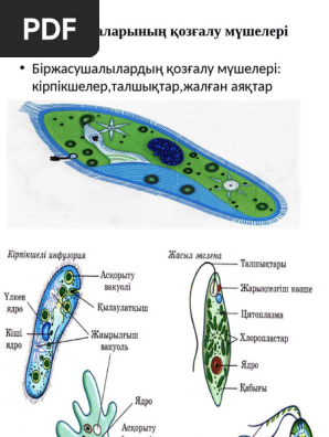 Камминг қыздармен порно видео