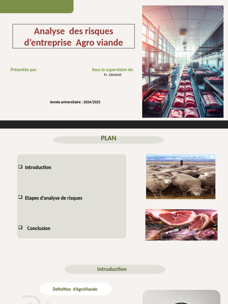 Analyse des risques chez AgroViande | PDF | Viande | Risque