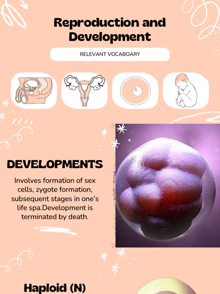 Compare and Contrast Process in Plants and Animals Reproduction and ...