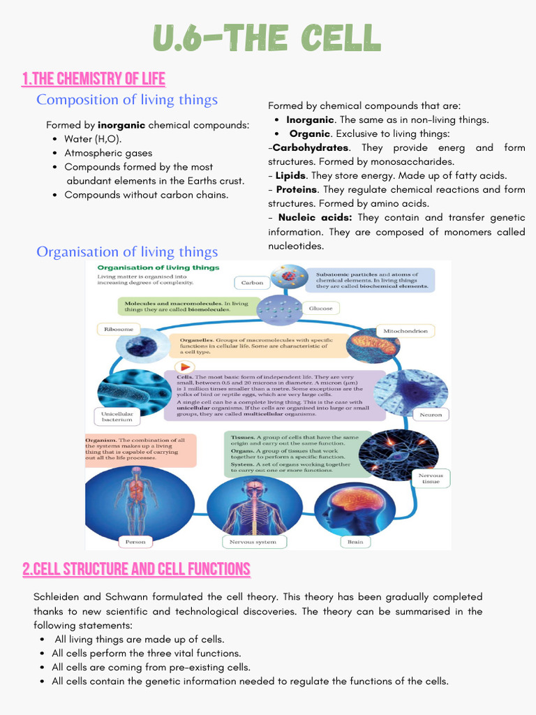 Chemistry and Structure of Cells | PDF | Cell (Biology) | Cytoplasm
