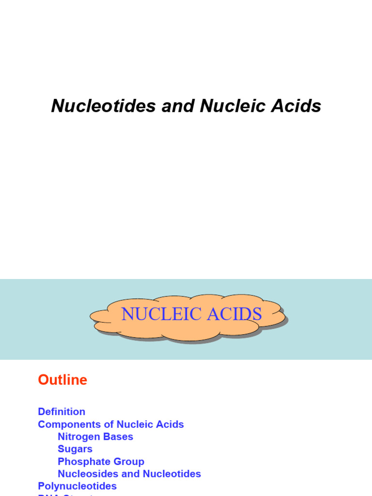 Nucleotides and Nucleic Acids Overview | PDF | Nucleotides | Rna
