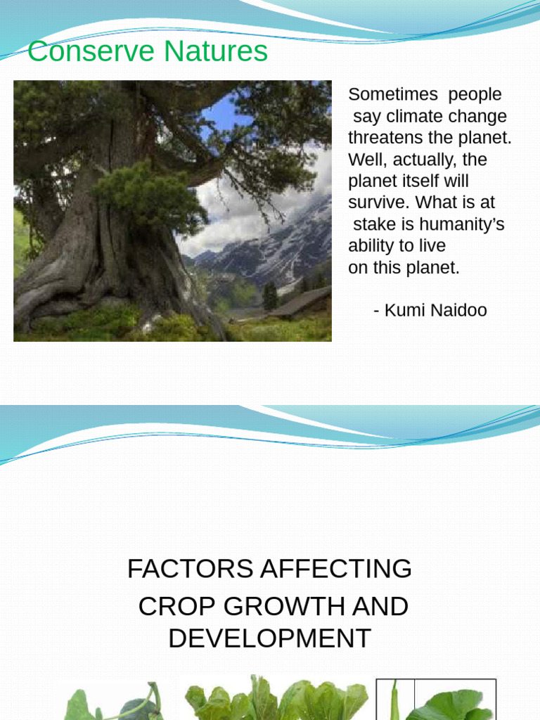 Factors Influencing Crop Growth | PDF | Soil | Plant Nutrition