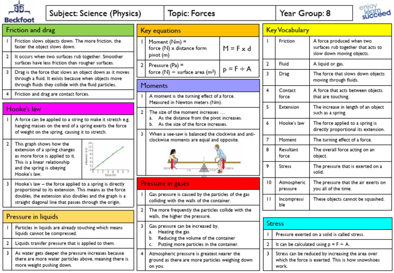 Understanding Forces and Pressure | PDF | Force | Pressure