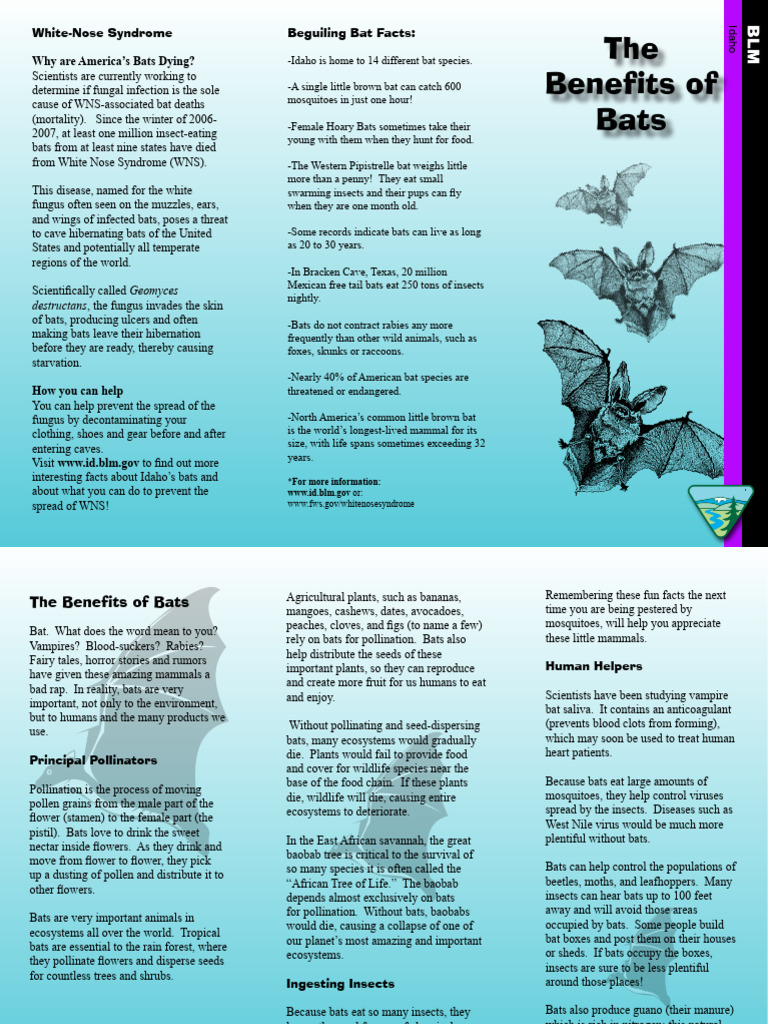 Idaho Bats: Benefits & WNS Threats | PDF | Bat | Pollination