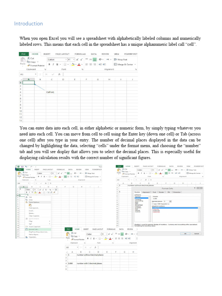 Excel Basics: Data Entry and Graphing | PDF | Spreadsheet | Microsoft Excel