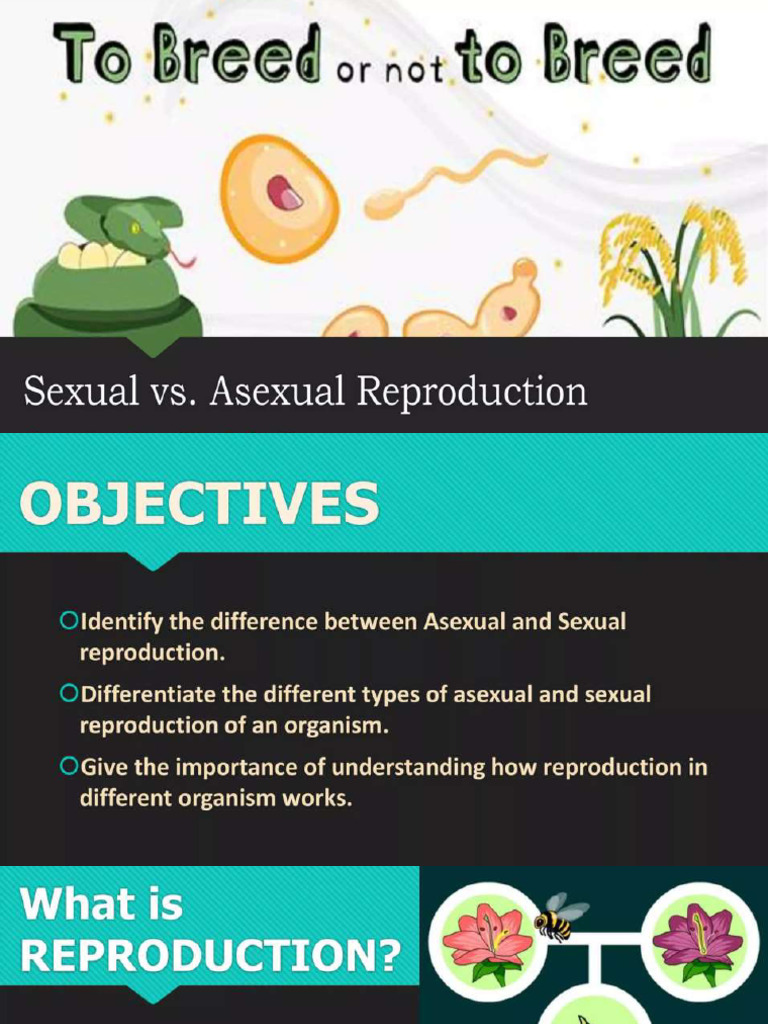 Sexual and Asexual Reproduction 1 | PDF