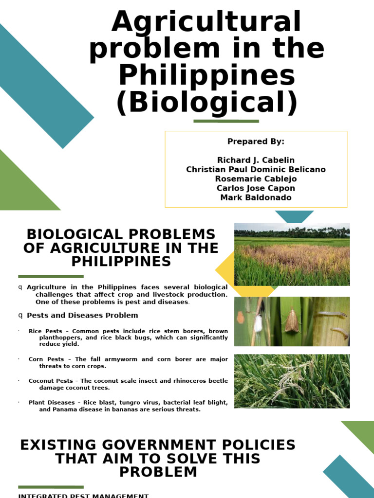 Biological Challenges in Philippine Agriculture | PDF | Pest (Organism ...