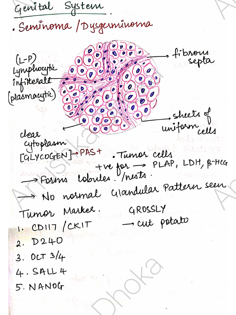 Patho Diagrams | PDF