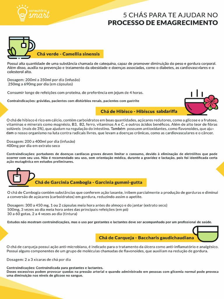 Tratamento da Dislipidemia e Obesidade | PDF