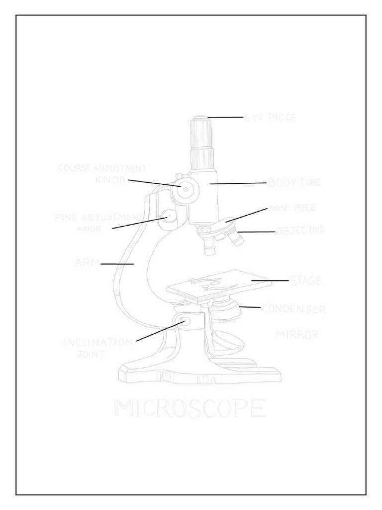 Microscope | PDF